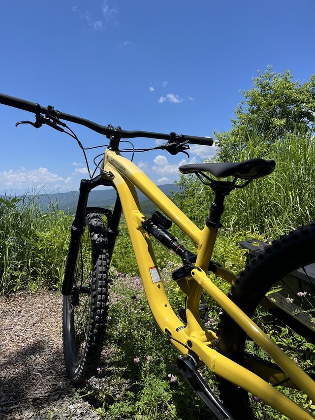Cannondale Habit LT